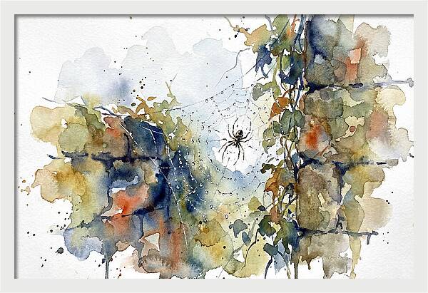 Spider In A Web