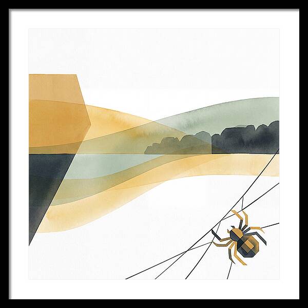 Spider Minimalism