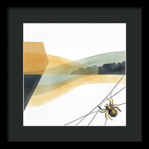 Spider Minimalism