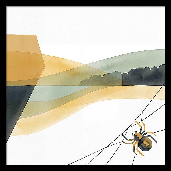 Spider Minimalism