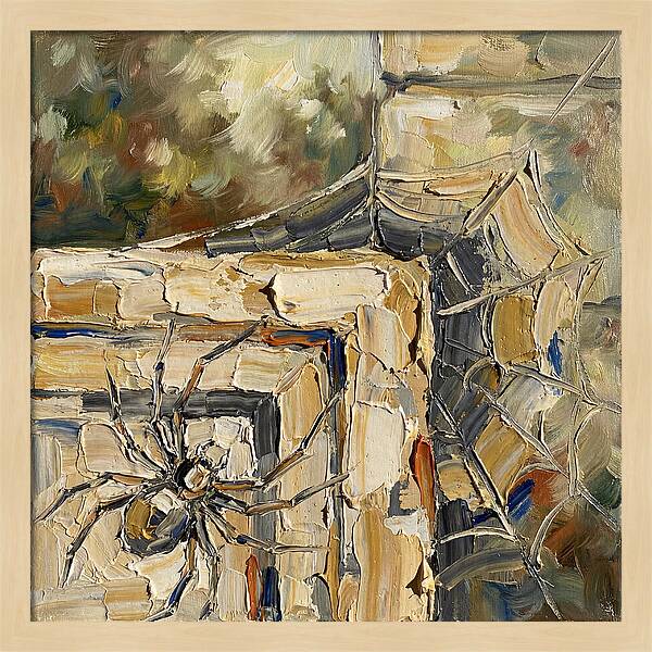Spider Webs And Shadows