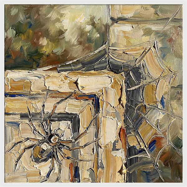 Spider Webs And Shadows