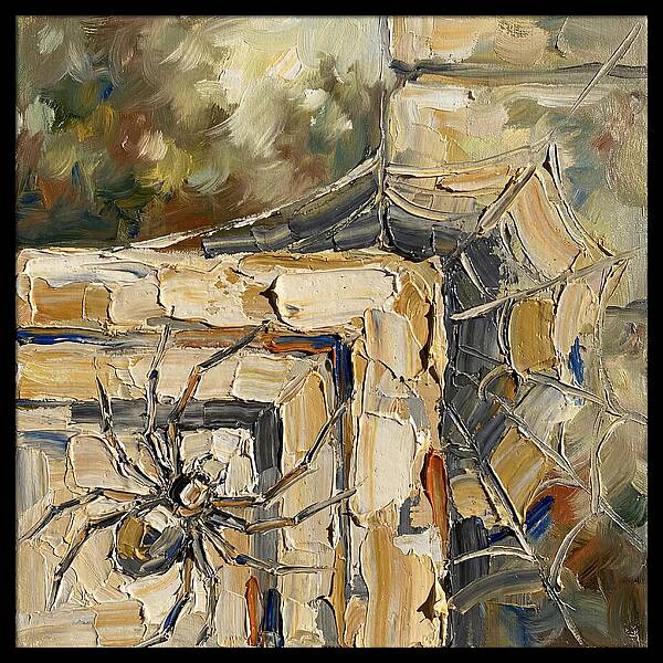 Spider Webs And Shadows