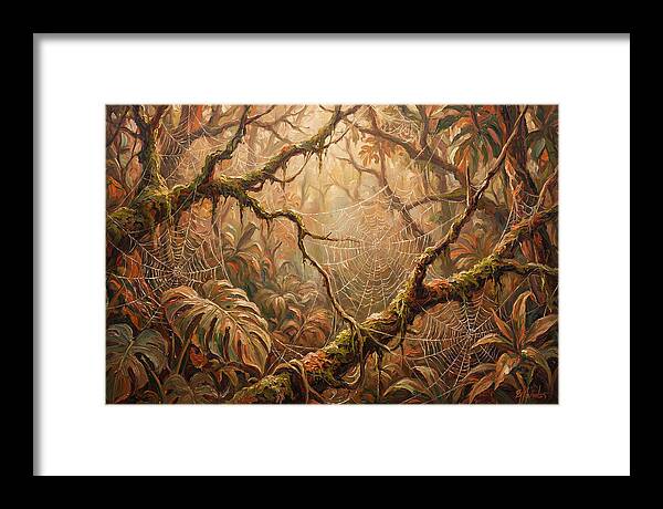 Spider Webs In The Jungle