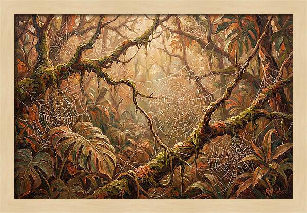 Spider Webs In The Jungle