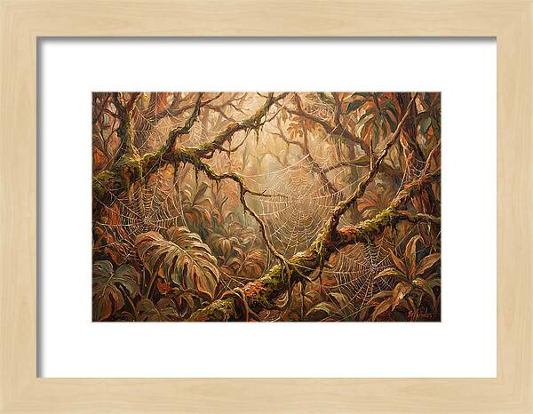 Spider Webs In The Jungle
