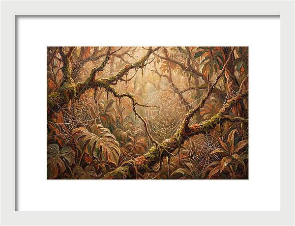 Spider Webs In The Jungle