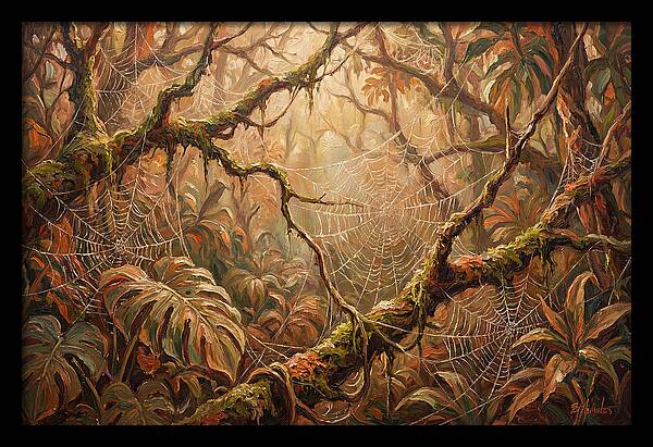 Spider Webs In The Jungle