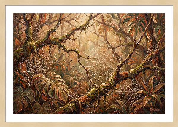 Spider Webs In The Jungle