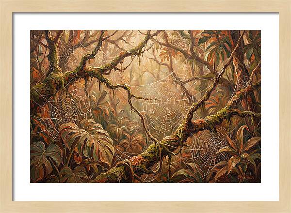 Spider Webs In The Jungle