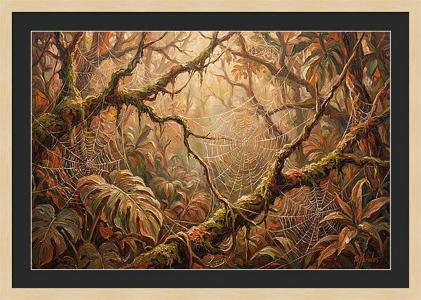Spider Webs In The Jungle
