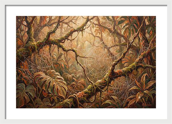 Spider Webs In The Jungle