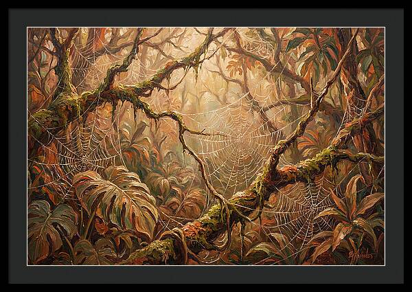 Spider Webs In The Jungle