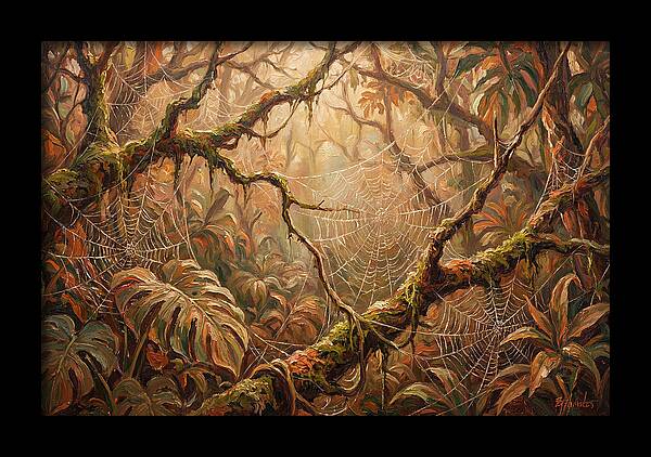 Spider Webs In The Jungle