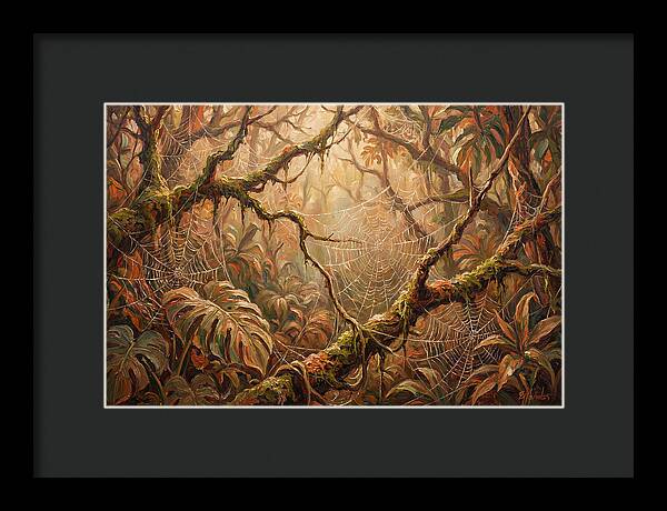 Spider Webs In The Jungle