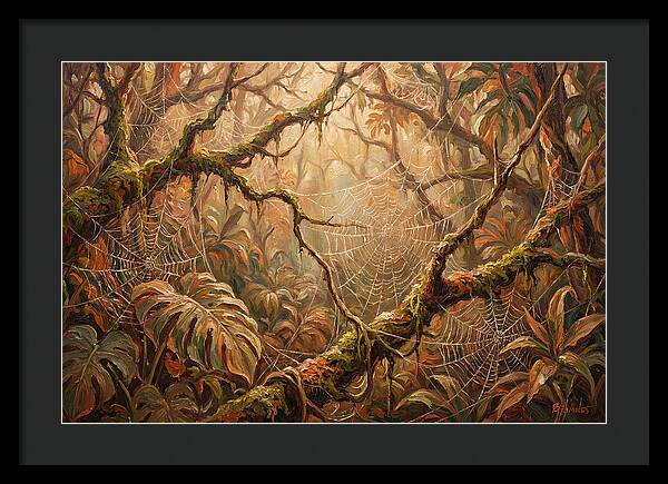 Spider Webs In The Jungle