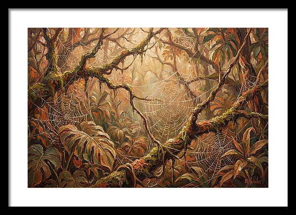 Spider Webs In The Jungle