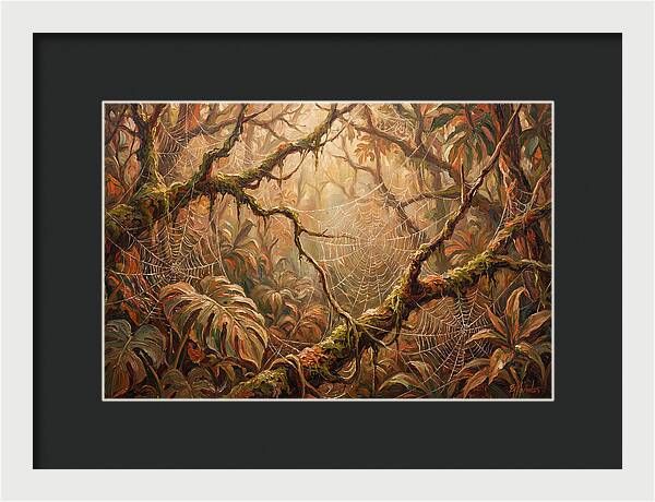 Spider Webs In The Jungle