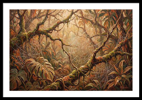 Spider Webs In The Jungle