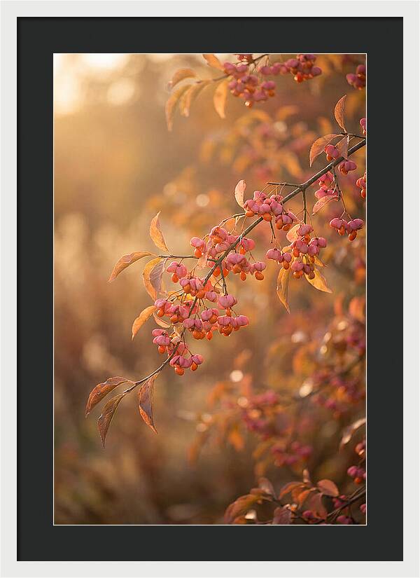 Spindle Tree Serenity