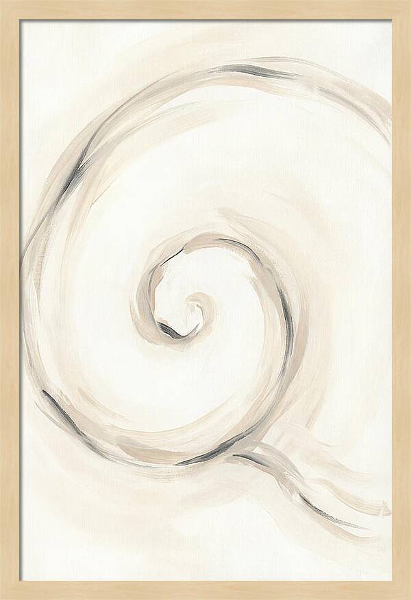 Spiral Serenity