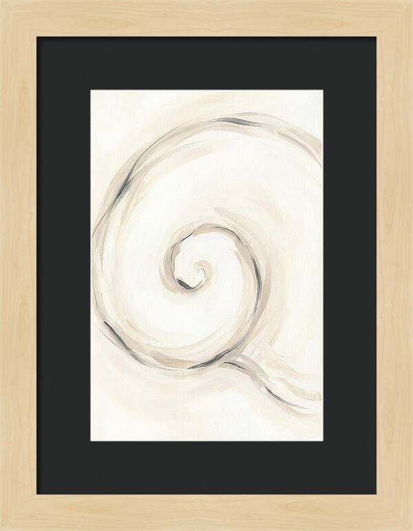 Spiral Serenity