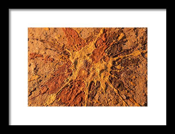 Splatter Pattern With Intention