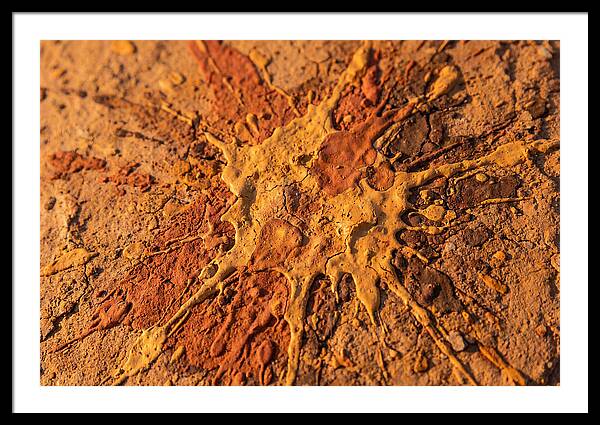 Splatter Pattern With Intention