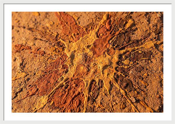 Splatter Pattern With Intention