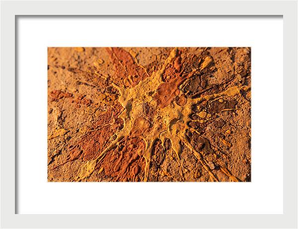 Splatter Pattern With Intention