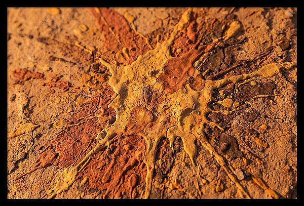Splatter Pattern With Intention