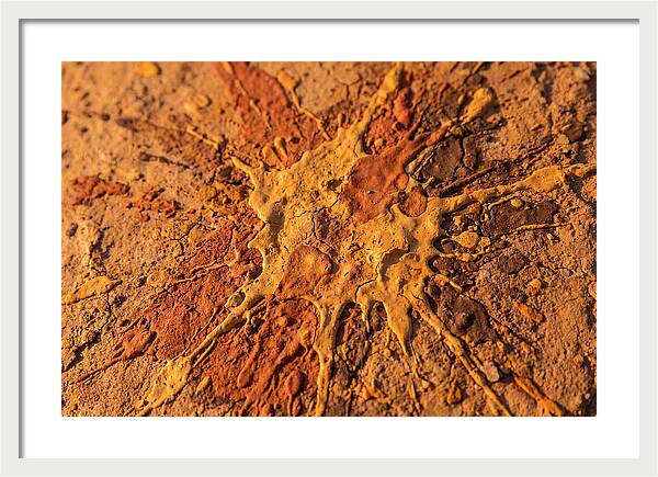 Splatter Pattern With Intention