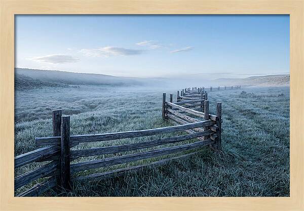 Split Rail Fence In Morning Mist