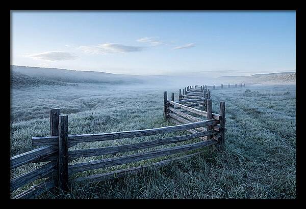 Split Rail Fence In Morning Mist
