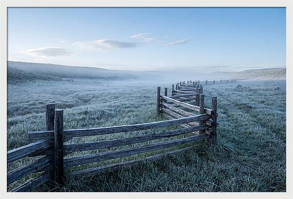 Split Rail Fence In Morning Mist