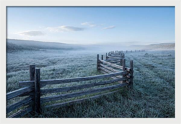 Split Rail Fence In Morning Mist