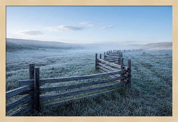 Split Rail Fence In Morning Mist