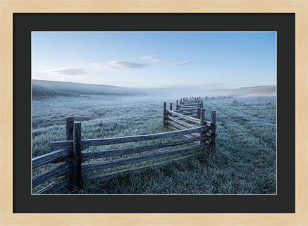 Split Rail Fence In Morning Mist