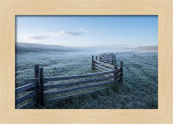 Split Rail Fence In Morning Mist