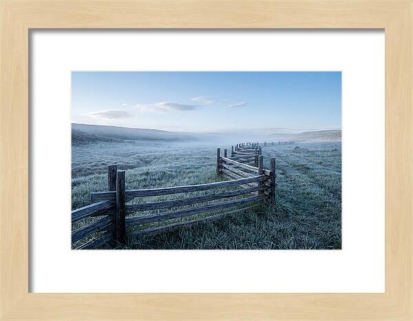 Split Rail Fence In Morning Mist