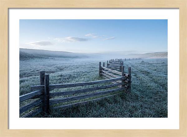 Split Rail Fence In Morning Mist