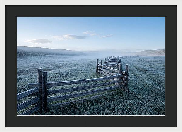 Split Rail Fence In Morning Mist