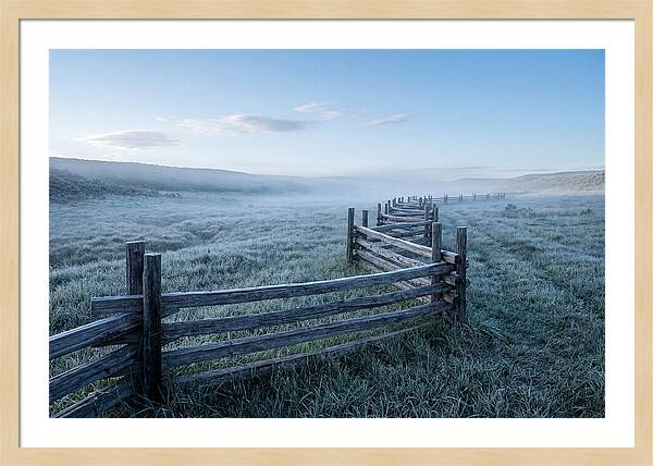 Split Rail Fence In Morning Mist
