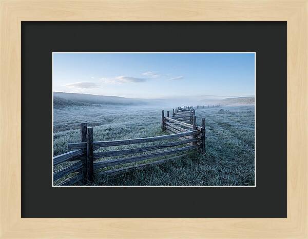 Split Rail Fence In Morning Mist
