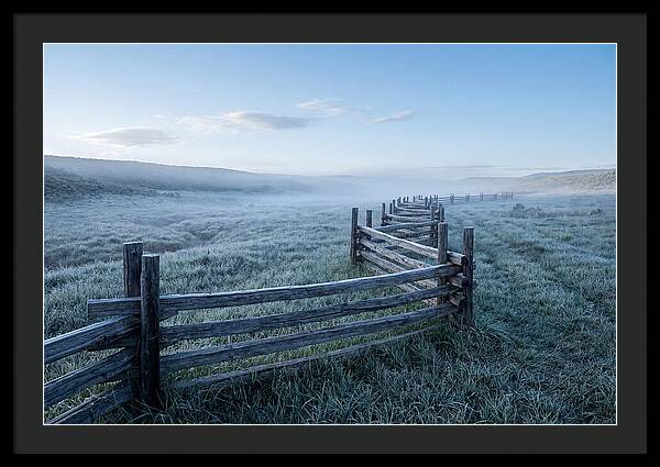 Split Rail Fence In Morning Mist