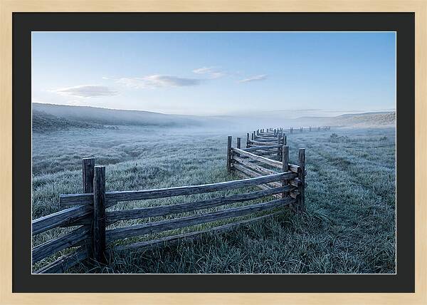 Split Rail Fence In Morning Mist
