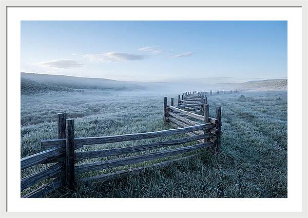 Split Rail Fence In Morning Mist