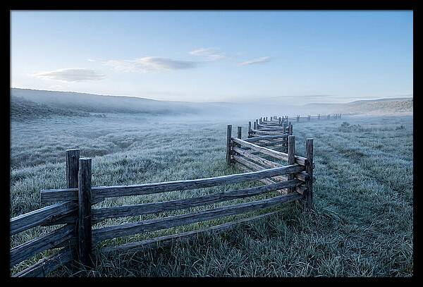 Split Rail Fence In Morning Mist