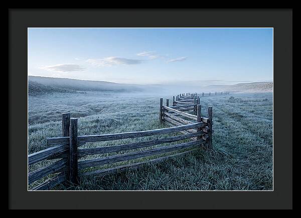 Split Rail Fence In Morning Mist