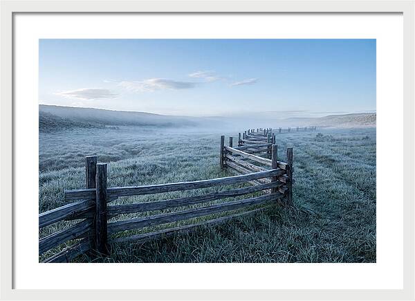 Split Rail Fence In Morning Mist